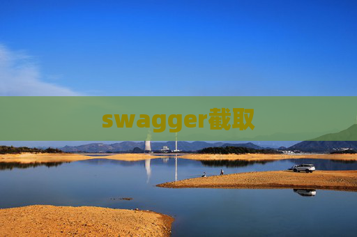 swagger截取